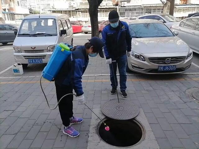 丰台办公室食堂灭虫鼠博一吧论坛官网北京蛀虫消杀公司