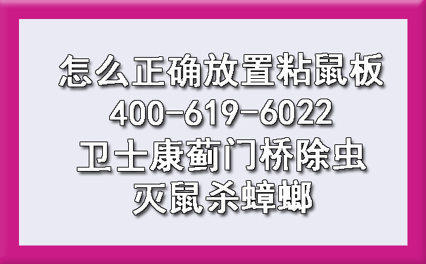 怎么准确安排粘鼠板400-619-6022博一吧论坛官网蓟门桥除虫灭鼠杀蟑螂